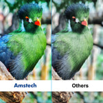 Lade das Bild in den Galerie-Viewer, Amstech WITH CHIP Compatible for Brother TN2420 TN-2420 Toner for Brother HL-L2350DW Toner MFC-L2710DW HL-L2370DN DCP-L2530DW DCP-L2510D MFC L2750DW HL L2375DW L2310D MFC L2710DN L2730DW DCP-L2550DN