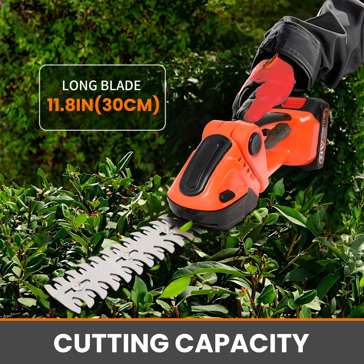 Amstech Telescoping Pole Hedge Trimmer, Grass Shear, Shrub Trimmer,Grass Trimmer